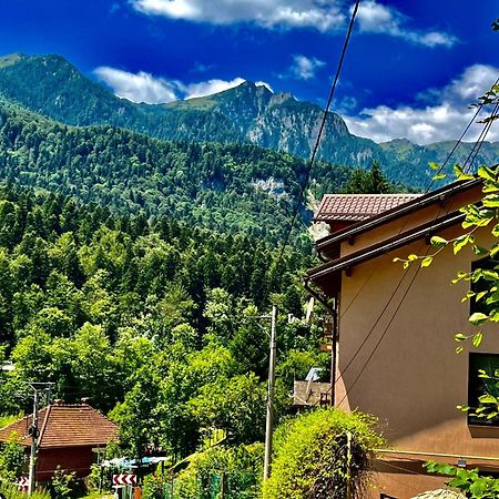 Pensiunea Roua Sinaia Esterno foto