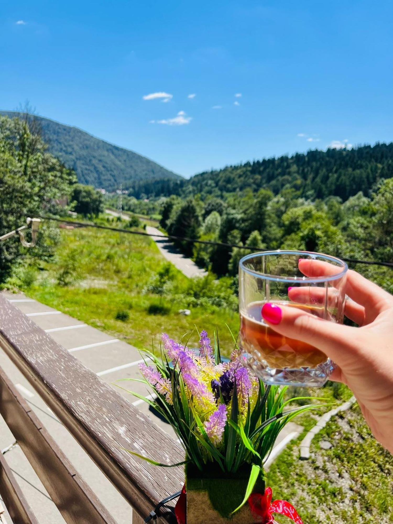 Pensiunea Roua Sinaia Esterno foto
