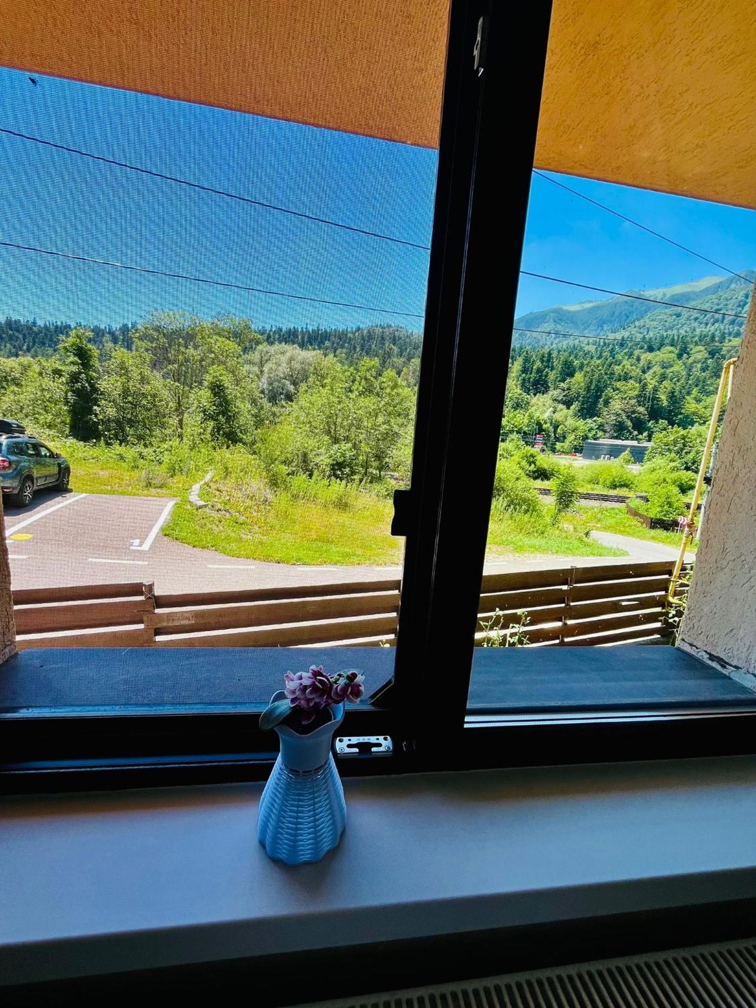 Pensiunea Roua Sinaia Esterno foto